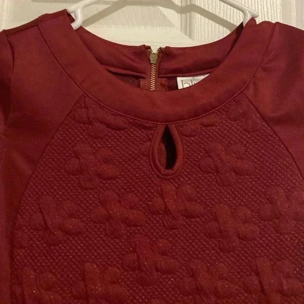 Blush by us Angels Girl’s Mini Dress Maroon Glitter Fabric Sz. 16 (No Belt) - Picture 8 of 10